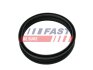 Прокладка паливного насоса Galaxy/Fabia/Octavia 1.2-2.3 96-06 (Ø 108mm) FAST FT48501 (фото 2)