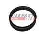 Прокладка паливного насоса Galaxy/Fabia/Octavia 1.2-2.3 96-06 (Ø 108mm) FAST FT48501 (фото 2)