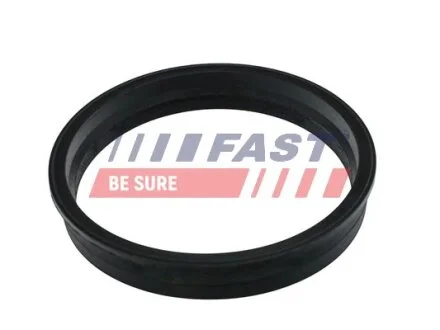 Прокладка паливного насоса C-Max/Mondeo 1.6-2.0 00-10 FAST FT48505