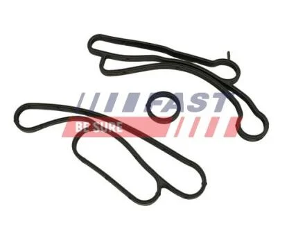 Прокладка Ford Transit 13 Масляний Радіатор 2.2Tdci FAST FT48938