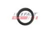 Ущільнювальне кільце FAST FT48953 (фото 3)