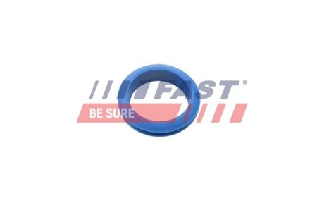 Ущільнення FAST FT48955