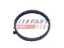 Прокладка Колектора Ford Transit 06 Впускний /11 2.2 Tdci FAST FT49467 (фото 1)
