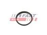 Прокладка Вакуумного Насосу Ford Transit 13 2.2Tdci FAST FT49853 (фото 1)
