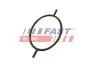Кольцо уплотнительное Ford Connect 02 1.8 Tdci 06 Serwo Hamulcowe FAST FT49923 (фото 1)