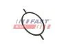 Кольцо уплотнительное Ford Connect 02 1.8 Tdci 06 Serwo Hamulcowe FAST FT49923 (фото 2)