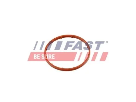 Прокладка Вакуумного Насосу CITROEN Berlingo 96- 2.0Hdi/2.2Hdi FAST FT50701