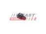 Сапун Гальмівний Citroen Berlingo 08 Охолодження 1.6 Hdi FAST FT55870 (фото 1)