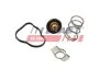 Термостат MB W176/Citan/ Renault Clio/Kangoo/Megane 1.5 D/dCI/Cdi 09- (83C) FAST FT58042 (фото 1)
