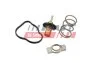 Термостат MB W176/Citan/ Renault Clio/Kangoo/Megane 1.5 D/dCI/Cdi 09- (83C) FAST FT58042 (фото 2)