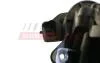 Термостат JUMPER II/BOXER 2.0 BlueHDi 15-23 FAST FT58054 (фото 5)