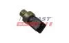 Датчик тиску кондиціонера Fiat/Citroen/Peugeot (-17) Fast FAST FT59173 (фото 2)
