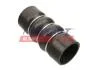 Патрубок интеркулера 1.6HDI 16V, 1.6HDI 8V Peugeot 206 98-12, Peugeot Partner 96-08, Citroen Berlingo 96-08, Citroen C3 01-09, Citroen C2 03-09, Citroen Xsara FAST FT65524 (фото 1)
