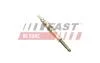 Свеча накаливания VW LT28-55 96-06; AUDI A6 97-04; SKODA Octavia Tour 96-10; RENAULT Megane II 03-09; FORD Galaxy 94-06; SEAT Ibiza 02-09; NISSAN Qashqai 07-14; MITSUBISHI Carisma 95-04; OPEL Vivaro 01-14; SUZUKI Grand Vitara 06-17; VOLVO V70 00-07; FAST FT82726 (фото 1)