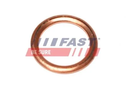 Шайба пробки масл. поддона Renault Master (00-)/Dacia Logan 1.4 (09-)/ Fiat Ducato (06-) 16X22 Fast FAST FT94716