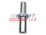 Штифт замку зсувних дверей Fiat Ducato/Peugeot Boxer/Citroen Jumper (06-) Fast FAST FT95338 (фото 1)