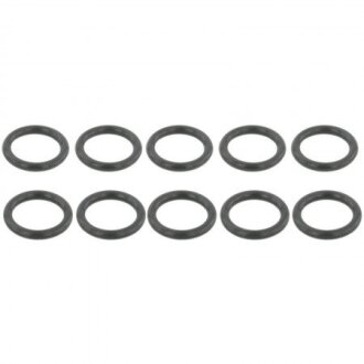 Кільце ущільнювача трубки ГПР Skoda Octavia/VW Golf IV 96-05 (10 шт) FEBEST RINGOL-033-PCS10