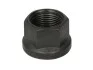 Гайка шпильки (M22x1.5x22) FEBI BILSTEIN 03558 (фото 1)