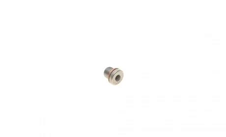 Болт слива масла VW Caddy III/T5/T6 03- (M10x13) FEBI BILSTEIN 101020