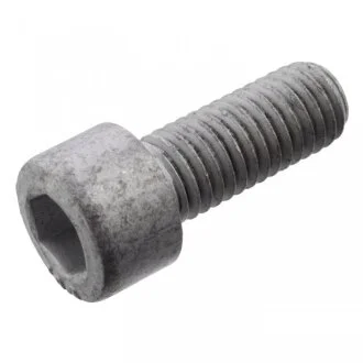 Гвинт / шуруп FEBI BILSTEIN 101234