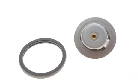 Термостат Ford Transit Courier/Fiesta/Focus/Mondeo 1.0/1.1 14- (92°C) FEBI BILSTEIN 106104