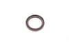 Комплект цепи ГРМ Ford Focus/Galaxy/Mondeo 2.0 EcoBoost 10- FEBI BILSTEIN 109729 (фото 4)