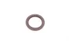 Комплект цепи ГРМ Ford Focus/Galaxy/Mondeo 2.0 EcoBoost 10- FEBI BILSTEIN 109729 (фото 5)