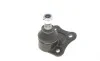 Опора кульова (передня/знизу/R) Audi A3/VW Golf IV 1.4-2.8 96-06 FEBI BILSTEIN 12660 (фото 3)
