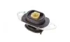 Подушка двигателя (L) Renault Twingo 0.9/1.0 14- FEBI BILSTEIN 173191 (фото 5)