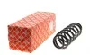 Пружина (задняя) VW Passat B6 2.0BlueTDI 09-10 / B7 2.0TDI/4motion 10-14 (седан/унив)(ос:Bluemotion) FEBI BILSTEIN 174184 (фото 1)