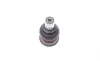 Опора кульова (передня/знизу) Nissan Micra/Sunny 10- FEBI BILSTEIN 174293 (фото 4)