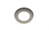 Подшипник ступицы (задней) Ford Fiesta 01- (29x53x37) (+ABS) FEBI BILSTEIN 174614 (фото 10)