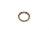 Комплект ланцюга ГРМ Nissan Micra 1.2/1.4 16V 03-10 FEBI BILSTEIN 174881 (фото 8)