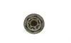 ШРКШ (зовнішній) Fiat Punto/Stilo/Lancia Musa/Ypsilon 01-12 (25z/24z/51mm) FEBI BILSTEIN 174977 (фото 2)