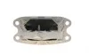 Подушка двигателя (L) BMW X1 (F48)/X2 (F39) 15- B37/B38/B47/B48 FEBI BILSTEIN 176007 (фото 3)