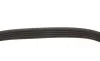 Ремень генератора VW Golf V/Passat/Touran 1.4TSI 05-/Skoda Fabia 1.4 TSI RS 10-14 (5PK491) FEBI BILSTEIN 176318 (фото 3)