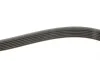 Ремень генератора VW Caddy IV/V 15-/T7 2.0 TSi 21- (6PK1005) FEBI BILSTEIN 177991 (фото 4)
