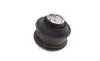 Подушка двигателя (передняя) (R) MB E-class (W210)/S-class (W220) 3.2CDI 99-05 FEBI BILSTEIN 17953 (фото 8)