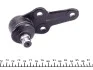 Опора шаровая (передняя/снизу) Ford Focus 98-04 FEBI BILSTEIN 18130 (фото 4)