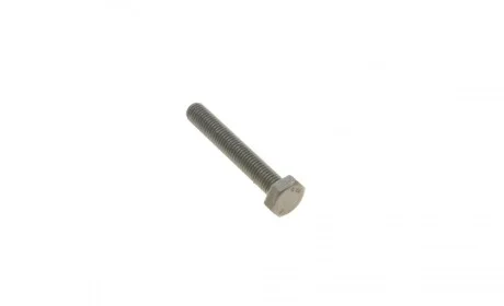 Болт коленвала VW Golf/ Jetta/ Passat/ Polo (M10) FEBI BILSTEIN 18160