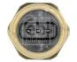 Датчик тиску масла BMW/PEUGEOT/CITOREN \'\'10>> FEBI BILSTEIN 182656 (фото 2)
