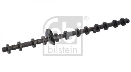 Ексцентриковий вал N55 FEBI BILSTEIN 184958