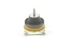 Подушка двигателя (R) Fiat Scudo/Peugeot Expert/Citroen Jumpy 1.9D/2.0 98- FEBI BILSTEIN 19017 (фото 3)