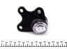Опора кульова (передня/знизу/L) Skoda Fabia/VW Polo 1.2/1.9TDI 99-10 (к-кт) FEBI BILSTEIN 19410 (фото 4)