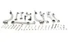 Комплект важелів підвіски (передньої) Audi A4/A6/VW Passat B5 96-05 (d=21) FEBI BILSTEIN 21502 (фото 1)