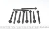 Болты головки (к-кт 10шт.) Renault Kangoo 1.5dCi FEBI BILSTEIN 24074 (фото 2)