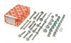     Комплект болтов рычага (переднего) Audi A4 00-08 24804