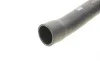 Патрубок радиатора (верхний) BMW 5 (E34) 2.0/2.5 87-96 FEBI BILSTEIN 27461 (фото 6)