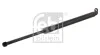 Амортизатор кришки багажника FEBI BILSTEIN 27602 (фото 1)