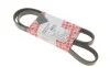 Ремень генератора Citroen Berlingo 1.6i 00-/Peugeot Partner 1.4i 96- (5PK1220) FEBI BILSTEIN 28864 (фото 1)